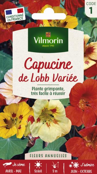 Fleurs - Capucine de Lobb Variée - PACKAGING_RECTO